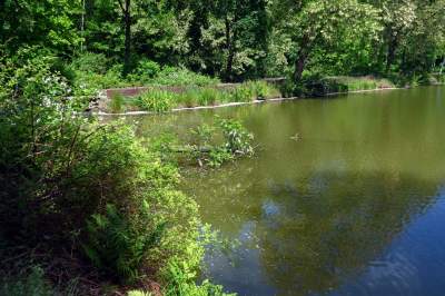 Cudowny park rzeczny w Krakowie. Krakowianie już pokochali to miejsce - zdjęcie 26