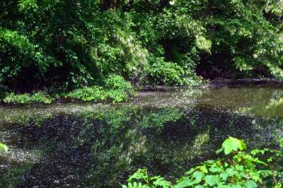 Cudowny park rzeczny w Krakowie. Krakowianie już pokochali to miejsce - zdjęcie 28