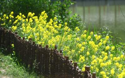 Cudowny park rzeczny w Krakowie. Krakowianie już pokochali to miejsce - zdjęcie 38