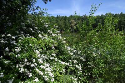 Cudowny park rzeczny w Krakowie. Krakowianie już pokochali to miejsce - zdjęcie 22