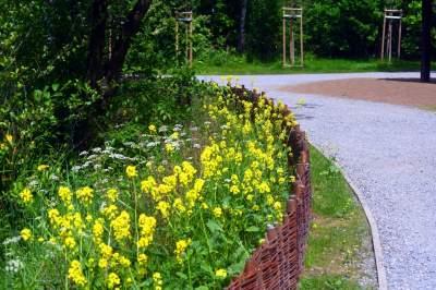 Cudowny park rzeczny w Krakowie. Krakowianie już pokochali to miejsce - zdjęcie 6