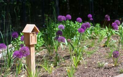 Cudowny park rzeczny w Krakowie. Krakowianie już pokochali to miejsce - zdjęcie 41