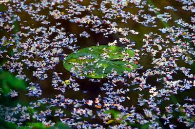 Cudowny park rzeczny w Krakowie. Krakowianie już pokochali to miejsce - zdjęcie 29