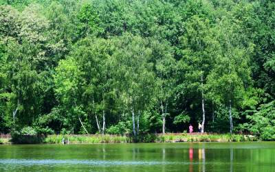 Cudowny park rzeczny w Krakowie. Krakowianie już pokochali to miejsce - zdjęcie 19