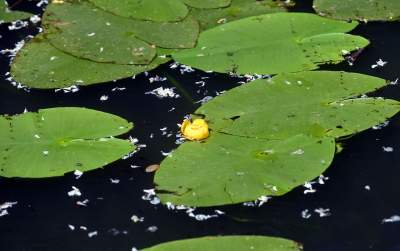Cudowny park rzeczny w Krakowie. Krakowianie już pokochali to miejsce - zdjęcie 33