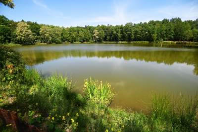Cudowny park rzeczny w Krakowie. Krakowianie już pokochali to miejsce - zdjęcie 21