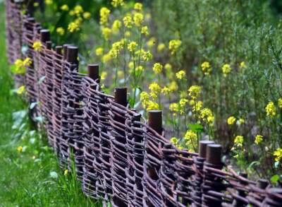 Cudowny park rzeczny w Krakowie. Krakowianie już pokochali to miejsce - zdjęcie 5