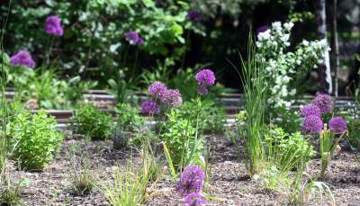 Cudowny park rzeczny w Krakowie. Krakowianie już pokochali to miejsce - zdjęcie 43