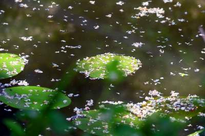 Cudowny park rzeczny w Krakowie. Krakowianie już pokochali to miejsce - zdjęcie 30