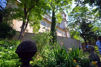 Skałka: park reliktów archeologicznych, nowe odkrycia - zdjęcie 4