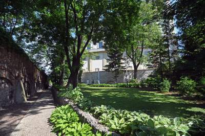 Skałka: park reliktów archeologicznych, nowe odkrycia - zdjęcie 1