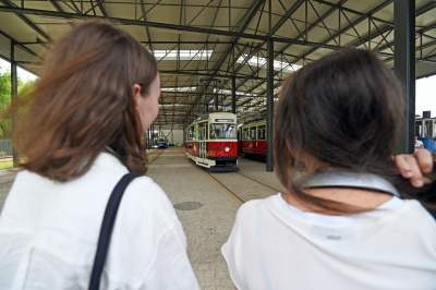 Nowe atrakcje Krakowskiej Linii Muzealnej, piękne egzemplarze - zdjęcie 10