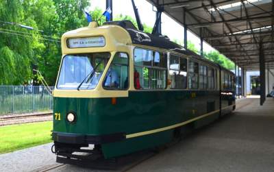 Nowe atrakcje Krakowskiej Linii Muzealnej, piękne egzemplarze - zdjęcie 13