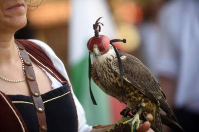 Taka sytuacja pod Wawelem: niesfornymi zajął się kat i inkwizytor - zdjęcie 23