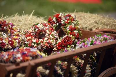 Taka sytuacja pod Wawelem: niesfornymi zajął się kat i inkwizytor - zdjęcie 32