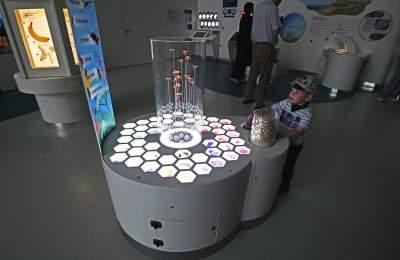 To miejsce zachwyci nie tylko dzieci, fascynujące Centrum Nauki - zdjęcie 26