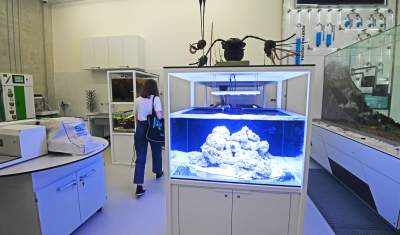 To miejsce zachwyci nie tylko dzieci, fascynujące Centrum Nauki - zdjęcie 56