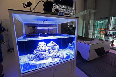 To miejsce zachwyci nie tylko dzieci, fascynujące Centrum Nauki - zdjęcie 53