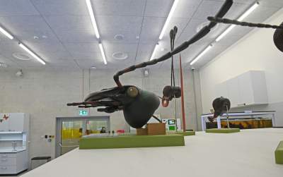 To miejsce zachwyci nie tylko dzieci, fascynujące Centrum Nauki - zdjęcie 58