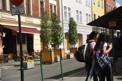 Drzewka usychają, bo turyści podlewają je drinkami? - zdjęcie 3