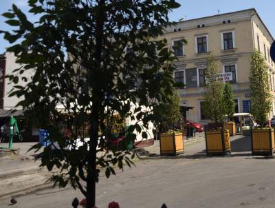 Drzewka usychają, bo turyści podlewają je drinkami? - zdjęcie 14