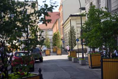 Drzewka usychają, bo turyści podlewają je drinkami? - zdjęcie 11