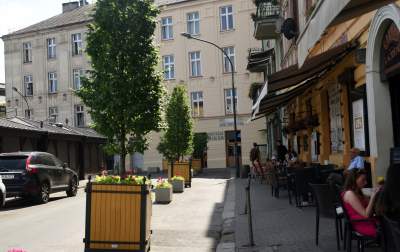 Drzewka usychają, bo turyści podlewają je drinkami? - zdjęcie 8