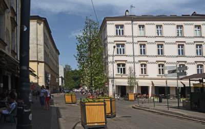 Drzewka usychają, bo turyści podlewają je drinkami? - zdjęcie 5