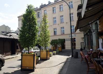 Drzewka usychają, bo turyści podlewają je drinkami? - zdjęcie 6