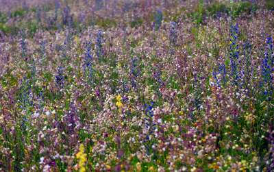 Takie widoki z dachu krakowskiego centrum nauki. Już otwarte! - zdjęcie 11