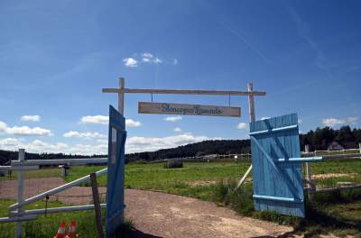 Nowe pole lawendowe w Małopolsce. Jak w Prowansji - zdjęcie 40