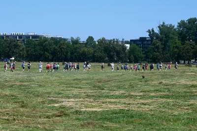 Sianokosy na największej miejskiej łące w Europie, tylko dwa razy w roku - zdjęcie 22