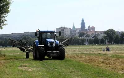 Sianokosy na największej miejskiej łące w Europie, tylko dwa razy w roku - zdjęcie 29