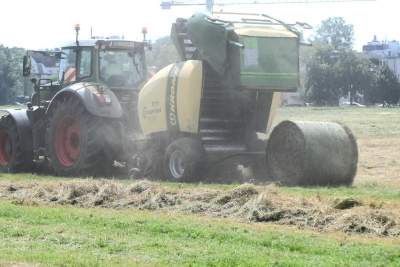 Sianokosy na największej miejskiej łące w Europie, tylko dwa razy w roku - zdjęcie 19