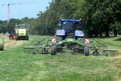 Sianokosy na największej miejskiej łące w Europie, tylko dwa razy w roku - zdjęcie 11