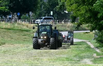 Sianokosy na największej miejskiej łące w Europie, tylko dwa razy w roku - zdjęcie 10