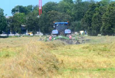 Sianokosy na największej miejskiej łące w Europie, tylko dwa razy w roku - zdjęcie 27