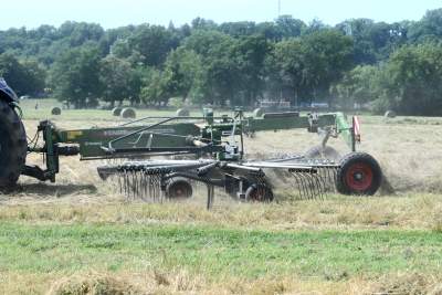 Sianokosy na największej miejskiej łące w Europie, tylko dwa razy w roku - zdjęcie 5