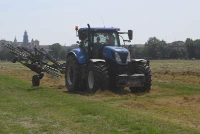 Sianokosy na największej miejskiej łące w Europie, tylko dwa razy w roku - zdjęcie 12