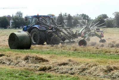 Sianokosy na największej miejskiej łące w Europie, tylko dwa razy w roku - zdjęcie 25