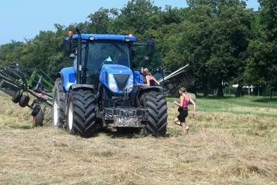 Sianokosy na największej miejskiej łące w Europie, tylko dwa razy w roku - zdjęcie 26