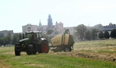 Sianokosy na największej miejskiej łące w Europie, tylko dwa razy w roku - zdjęcie 28