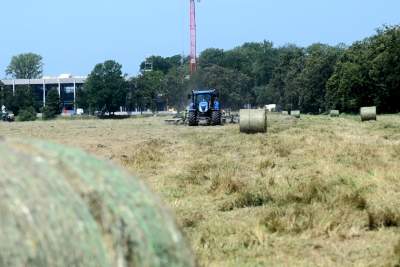 Sianokosy na największej miejskiej łące w Europie, tylko dwa razy w roku - zdjęcie 32