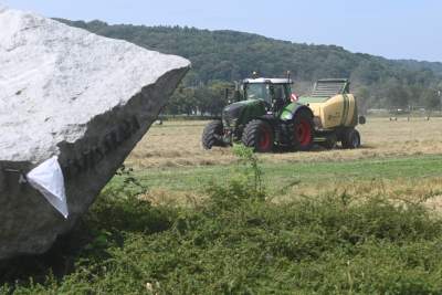 Sianokosy na największej miejskiej łące w Europie, tylko dwa razy w roku - zdjęcie 4