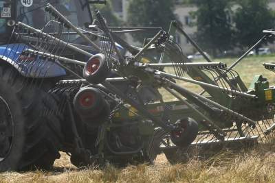 Sianokosy na największej miejskiej łące w Europie, tylko dwa razy w roku - zdjęcie 13