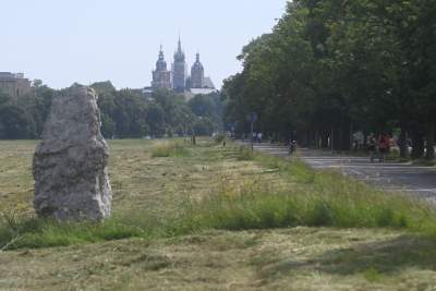 Sianokosy na największej miejskiej łące w Europie, tylko dwa razy w roku - zdjęcie 6