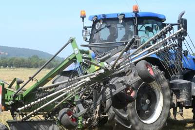 Sianokosy na największej miejskiej łące w Europie, tylko dwa razy w roku - zdjęcie 31