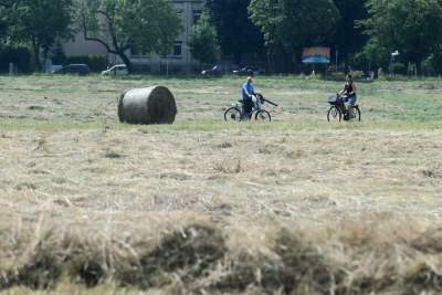 Sianokosy na największej miejskiej łące w Europie, tylko dwa razy w roku - zdjęcie 30