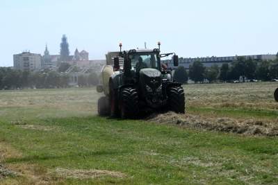 Sianokosy na największej miejskiej łące w Europie, tylko dwa razy w roku - zdjęcie 8