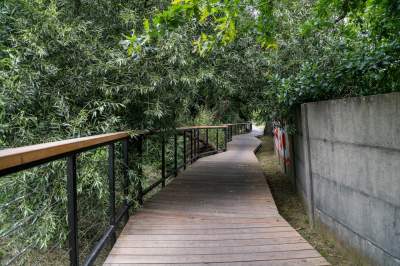 Aktywiści protestowali przeciwko budowie, powstała piękna trasa rowerowa w Krakowie - zdjęcie 23